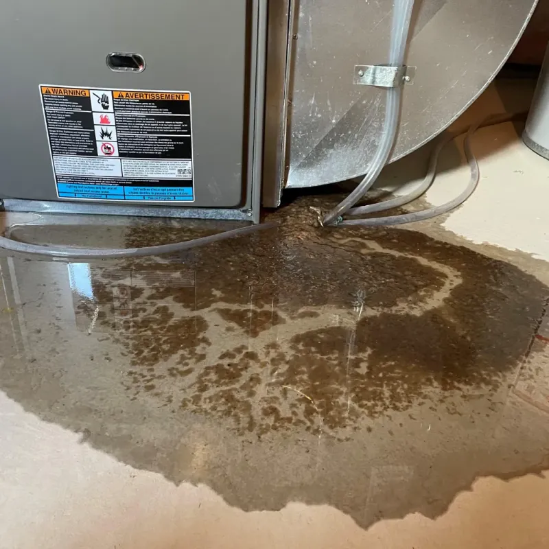 Appliance Leak Cleanup in Hackberry, LA